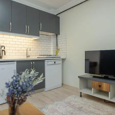 Apartamento Taksim 11 *